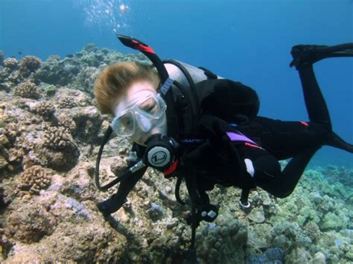 Jonas Dive Blog