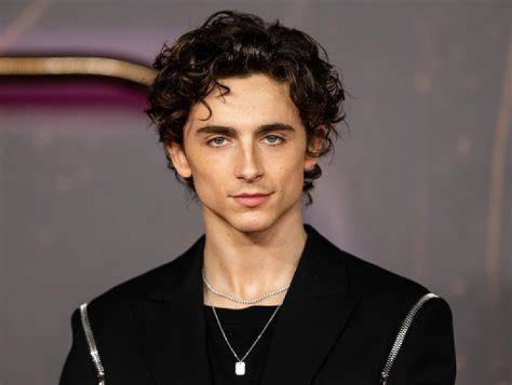 Who Is Timothee Chalamet? 5 Things to Know About the Actor Us Weekly